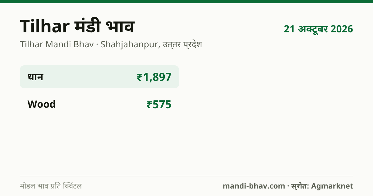 Tilhar मंडी भाव 21 अक्टूबर 2026: फसलवार मोडल रेट प्रति क्विंटल
