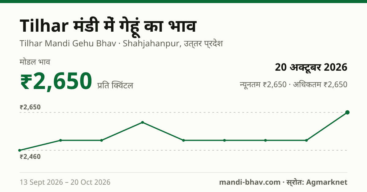 Tilhar मंडी में गेहूं का भाव 20 अक्टूबर 2026: मोडल ₹2,650 प्रति क्विंटल, भाव के रुझान का चार्ट
