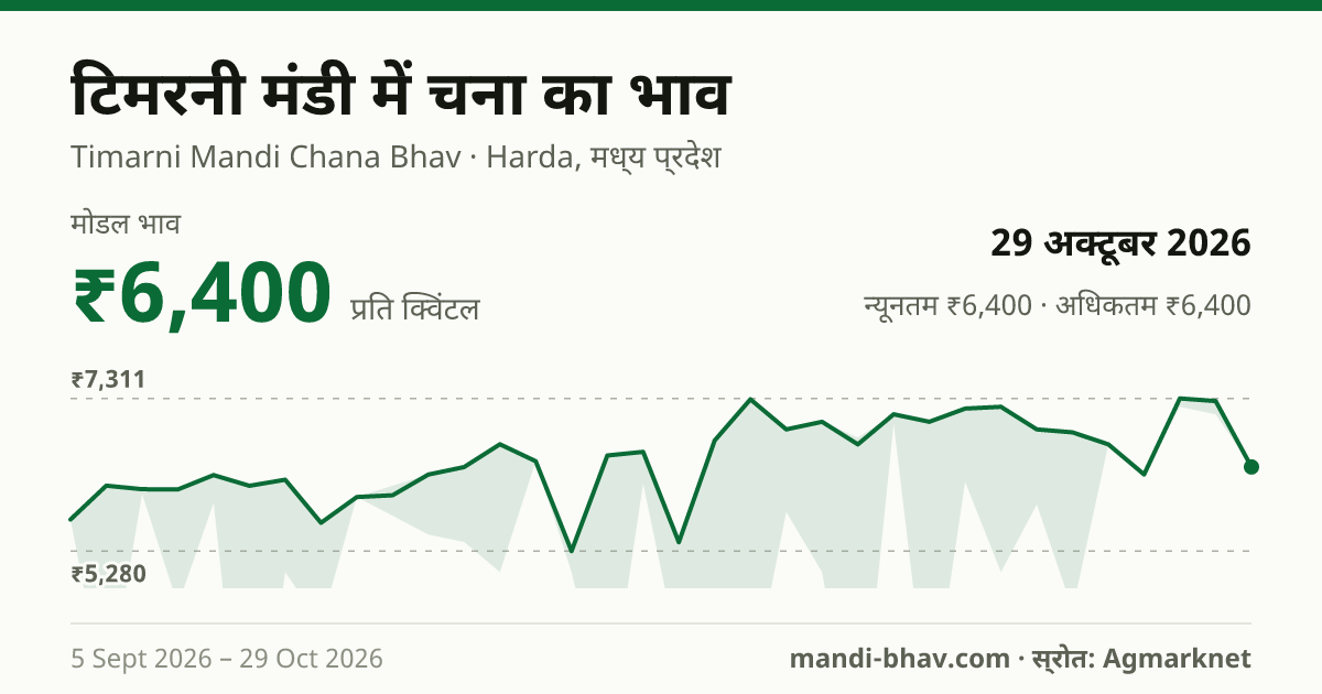 Timarni मंडी में चना का भाव 29 अक्टूबर 2026: मोडल ₹6,400 प्रति क्विंटल, भाव के रुझान का चार्ट
