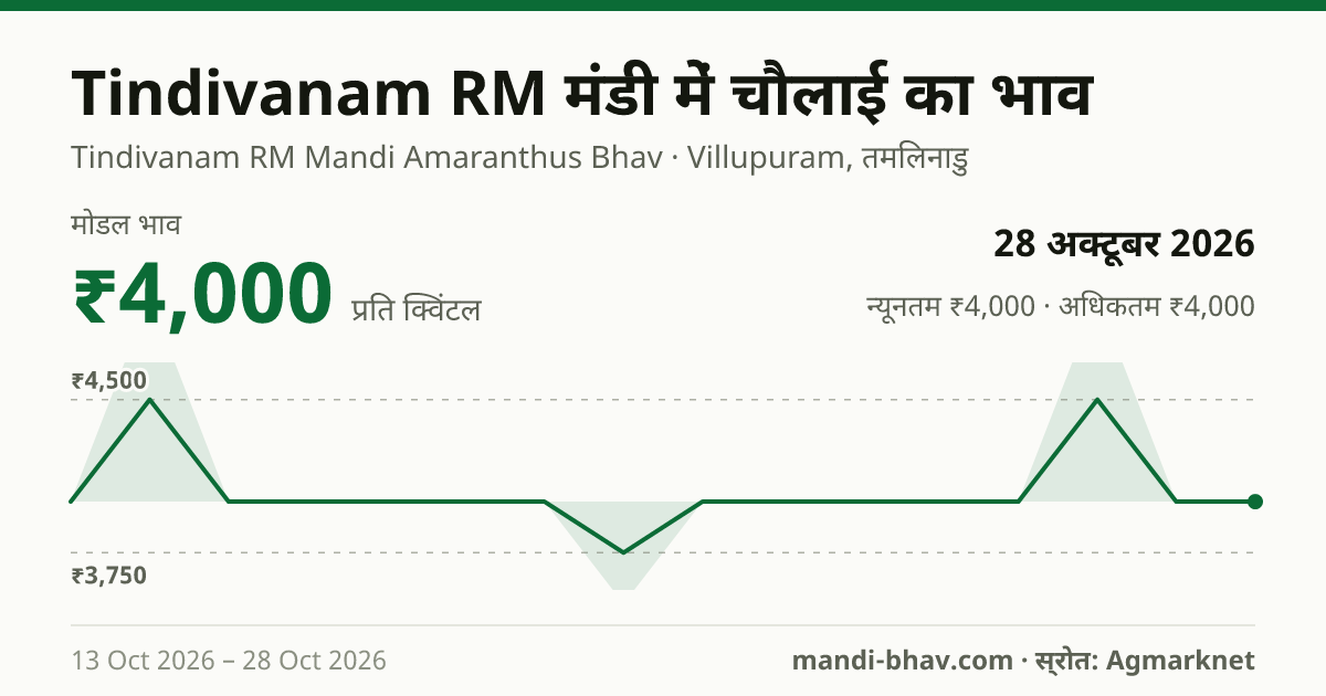 Tindivanam RM मंडी में चौलाई का भाव 28 अक्टूबर 2026: मोडल ₹4,000 प्रति क्विंटल, भाव के रुझान का चार्ट