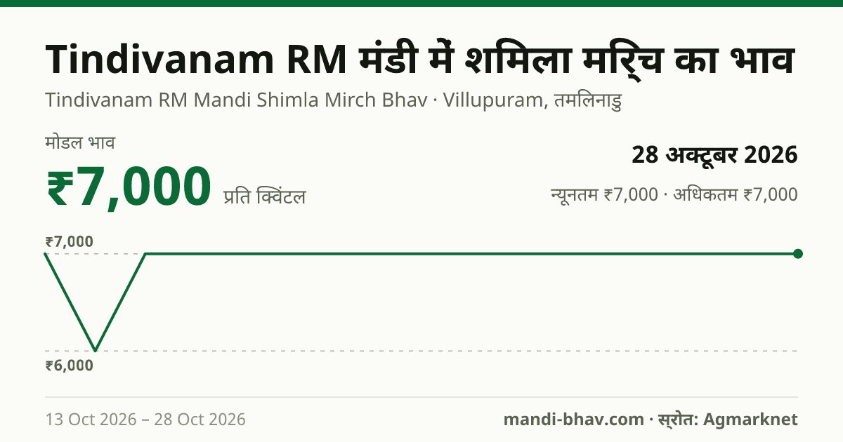 Tindivanam RM मंडी में शिमला मिर्च का भाव 28 अक्टूबर 2026: मोडल ₹7,000 प्रति क्विंटल, भाव के रुझान का चार्ट