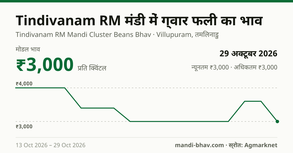 Tindivanam RM मंडी में ग्वार फली का भाव 29 अक्टूबर 2026: मोडल ₹3,000 प्रति क्विंटल, भाव के रुझान का चार्ट
