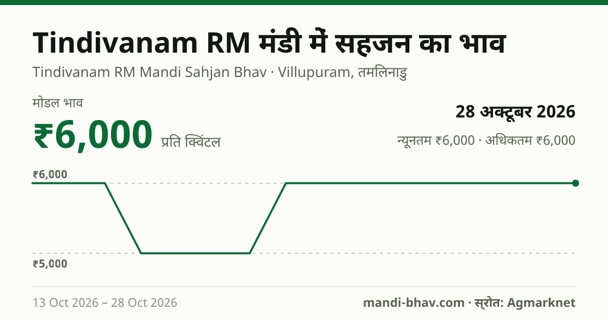 Tindivanam RM मंडी में सहजन का भाव 28 अक्टूबर 2026: मोडल ₹6,000 प्रति क्विंटल, भाव के रुझान का चार्ट