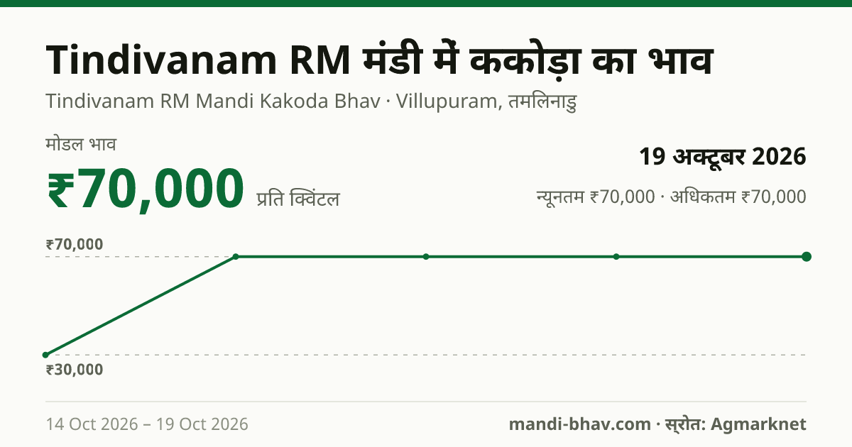 Tindivanam RM मंडी में Kakada का भाव 19 अक्टूबर 2026: मोडल ₹70,000 प्रति क्विंटल, भाव के रुझान का चार्ट