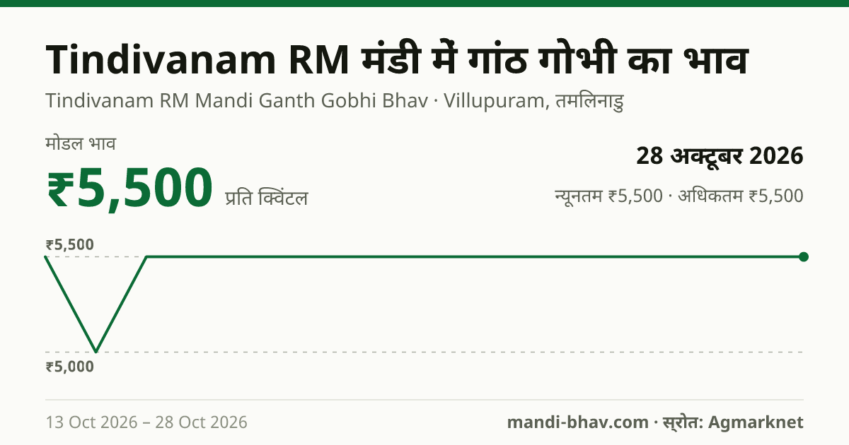 Tindivanam RM मंडी में गांठ गोभी का भाव 28 अक्टूबर 2026: मोडल ₹5,500 प्रति क्विंटल, भाव के रुझान का चार्ट