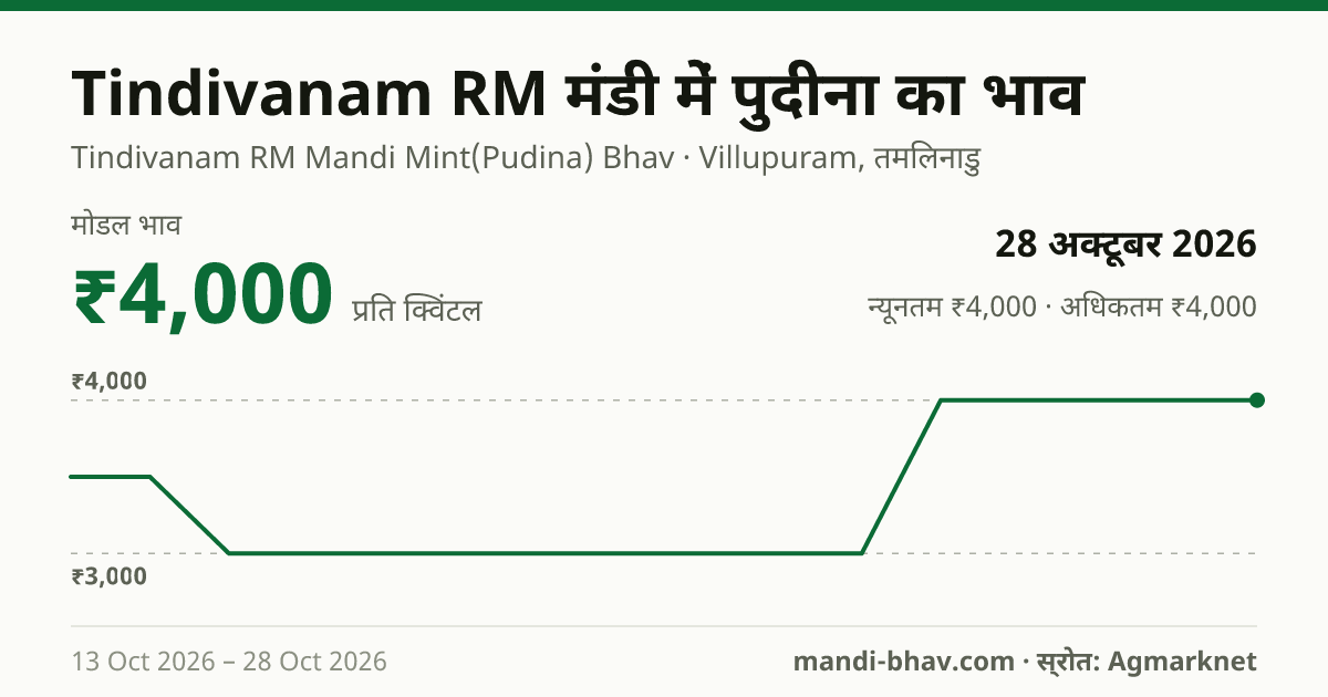 Tindivanam RM मंडी में पुदीना का भाव 28 अक्टूबर 2026: मोडल ₹4,000 प्रति क्विंटल, भाव के रुझान का चार्ट