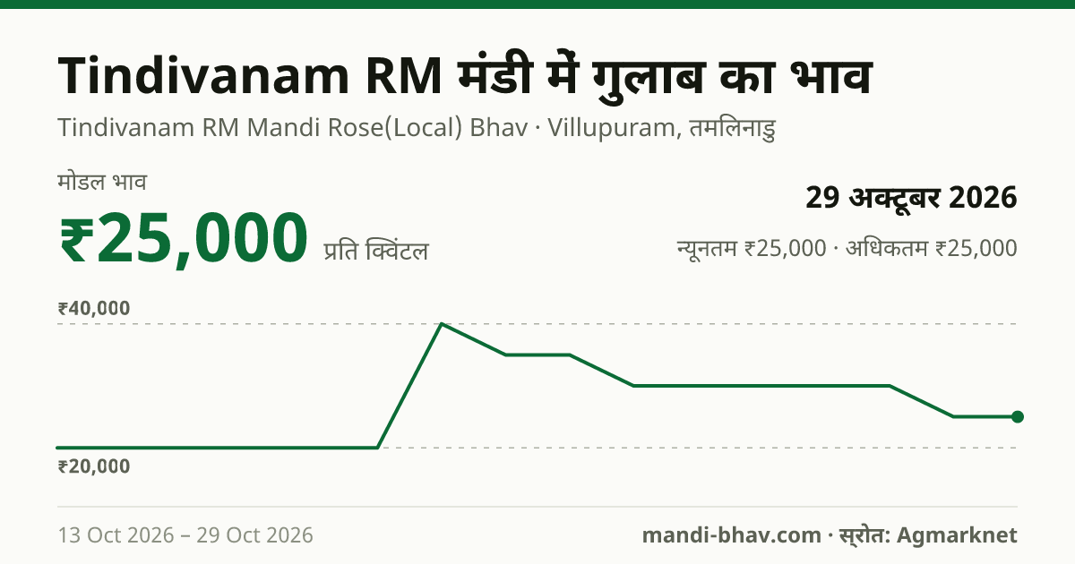 Tindivanam RM मंडी में गुलाब का भाव 29 अक्टूबर 2026: मोडल ₹25,000 प्रति क्विंटल, भाव के रुझान का चार्ट