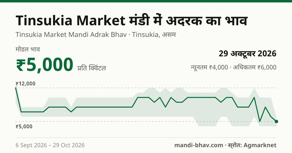 Tinsukia Market मंडी में अदरक का भाव 29 अक्टूबर 2026: मोडल ₹5,000 प्रति क्विंटल, भाव के रुझान का चार्ट