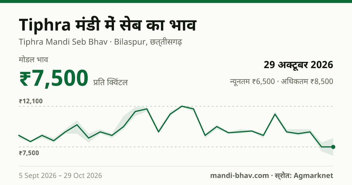 Tiphra मंडी में सेब का भाव 29 अक्टूबर 2026: मोडल ₹7,500 प्रति क्विंटल, भाव के रुझान का चार्ट