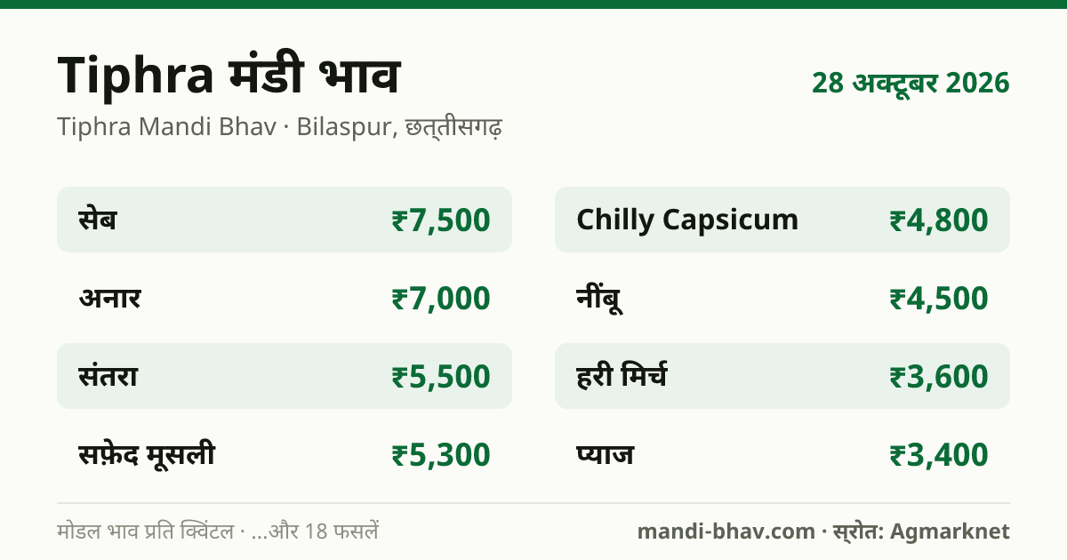 Tiphra मंडी भाव 28 अक्टूबर 2026: फसलवार मोडल रेट प्रति क्विंटल