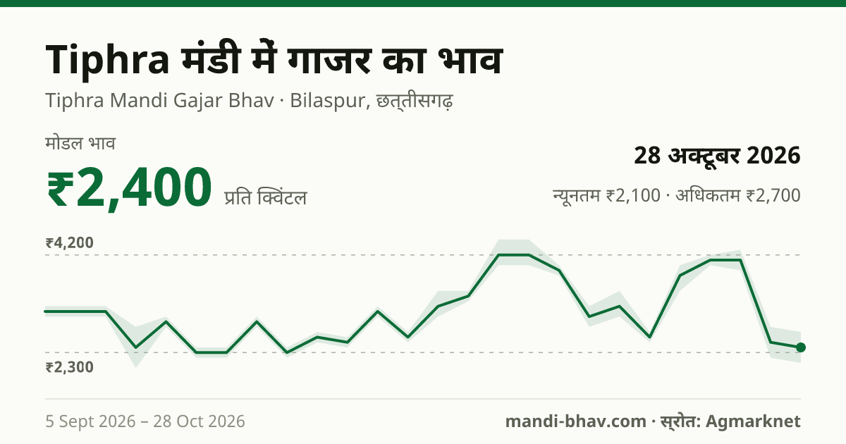 Tiphra मंडी में गाजर का भाव 28 अक्टूबर 2026: मोडल ₹2,400 प्रति क्विंटल, भाव के रुझान का चार्ट