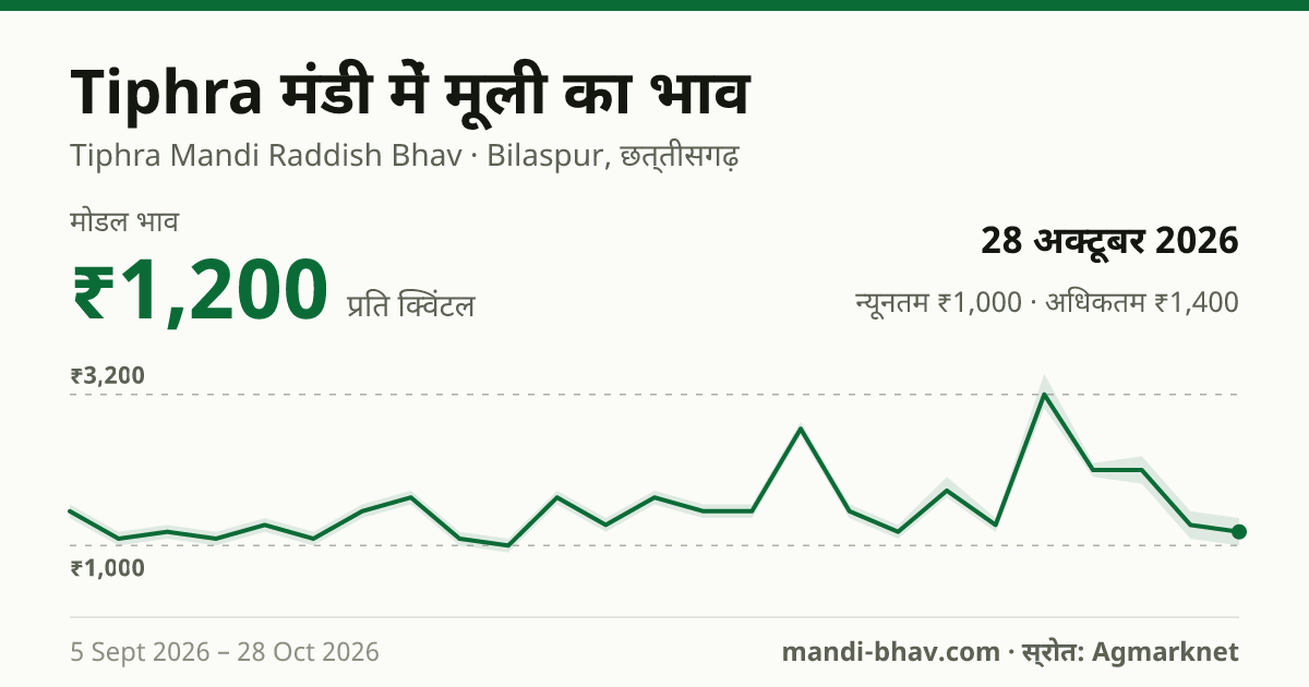 Tiphra मंडी में मूली का भाव 28 अक्टूबर 2026: मोडल ₹1,200 प्रति क्विंटल, भाव के रुझान का चार्ट