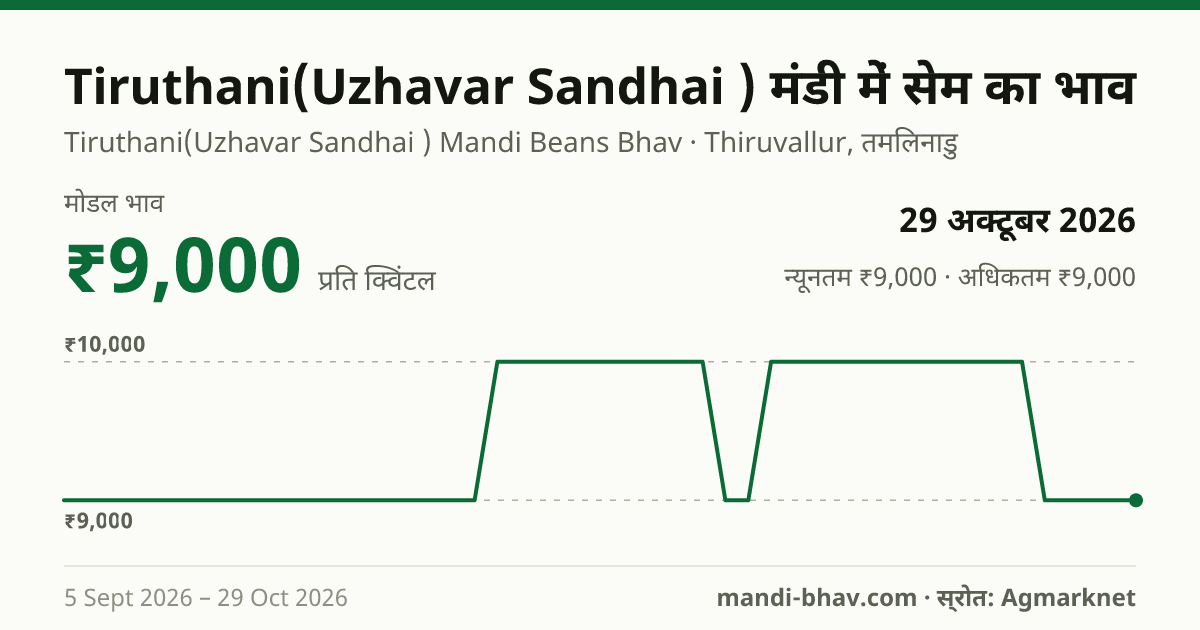 Tiruthani(Uzhavar Sandhai ) मंडी में सेम का भाव 29 अक्टूबर 2026: मोडल ₹9,000 प्रति क्विंटल, भाव के रुझान का चार्ट