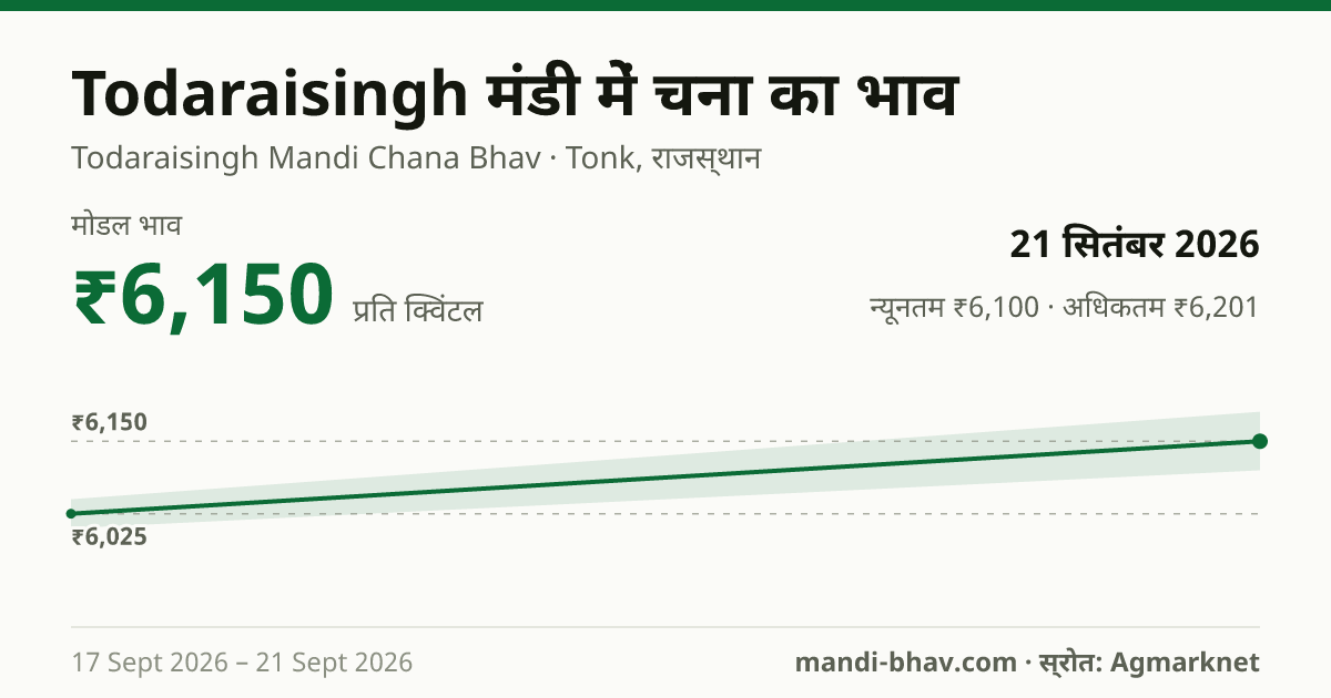 Todaraisingh मंडी में चना का भाव 21 सितंबर 2026: मोडल ₹6,150 प्रति क्विंटल, भाव के रुझान का चार्ट