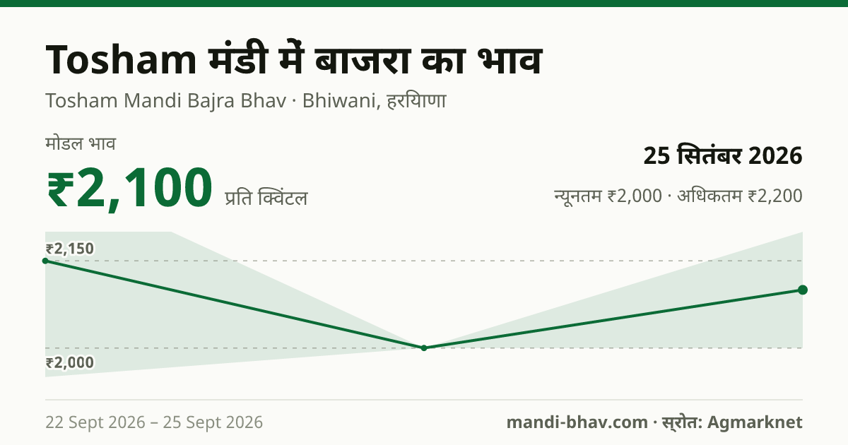 Tosham मंडी में बाजरा का भाव 25 सितंबर 2026: मोडल ₹2,100 प्रति क्विंटल, भाव के रुझान का चार्ट