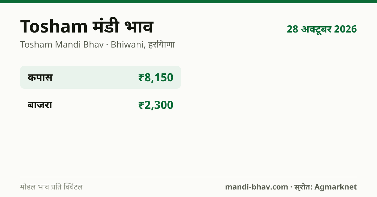 Tosham मंडी भाव 28 अक्टूबर 2026: फसलवार मोडल रेट प्रति क्विंटल