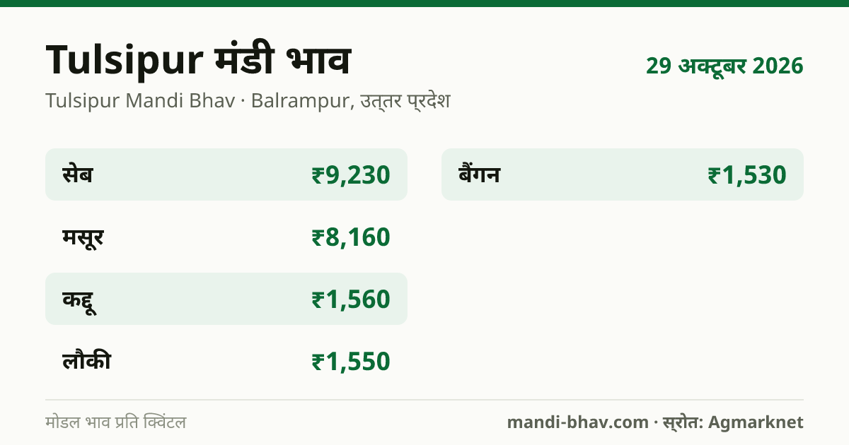 Tulsipur मंडी भाव 29 अक्टूबर 2026: फसलवार मोडल रेट प्रति क्विंटल
