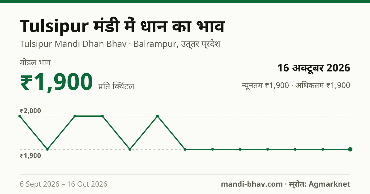 Tulsipur मंडी में धान का भाव 16 अक्टूबर 2026: मोडल ₹1,900 प्रति क्विंटल, भाव के रुझान का चार्ट