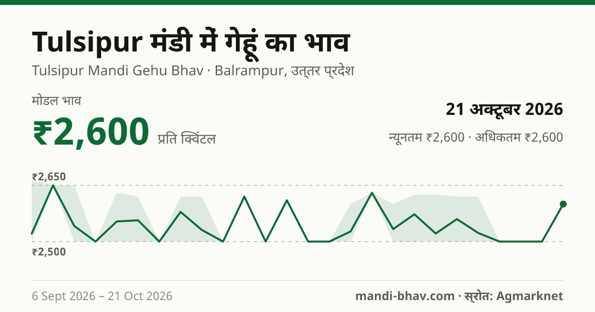 Tulsipur मंडी में गेहूं का भाव 21 अक्टूबर 2026: मोडल ₹2,600 प्रति क्विंटल, भाव के रुझान का चार्ट