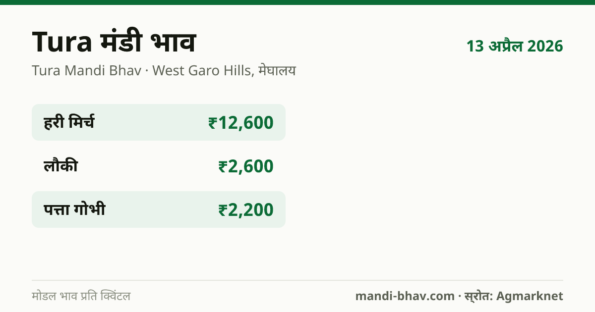 Tura मंडी भाव 13 अप्रैल 2026: फसलवार मोडल रेट प्रति क्विंटल