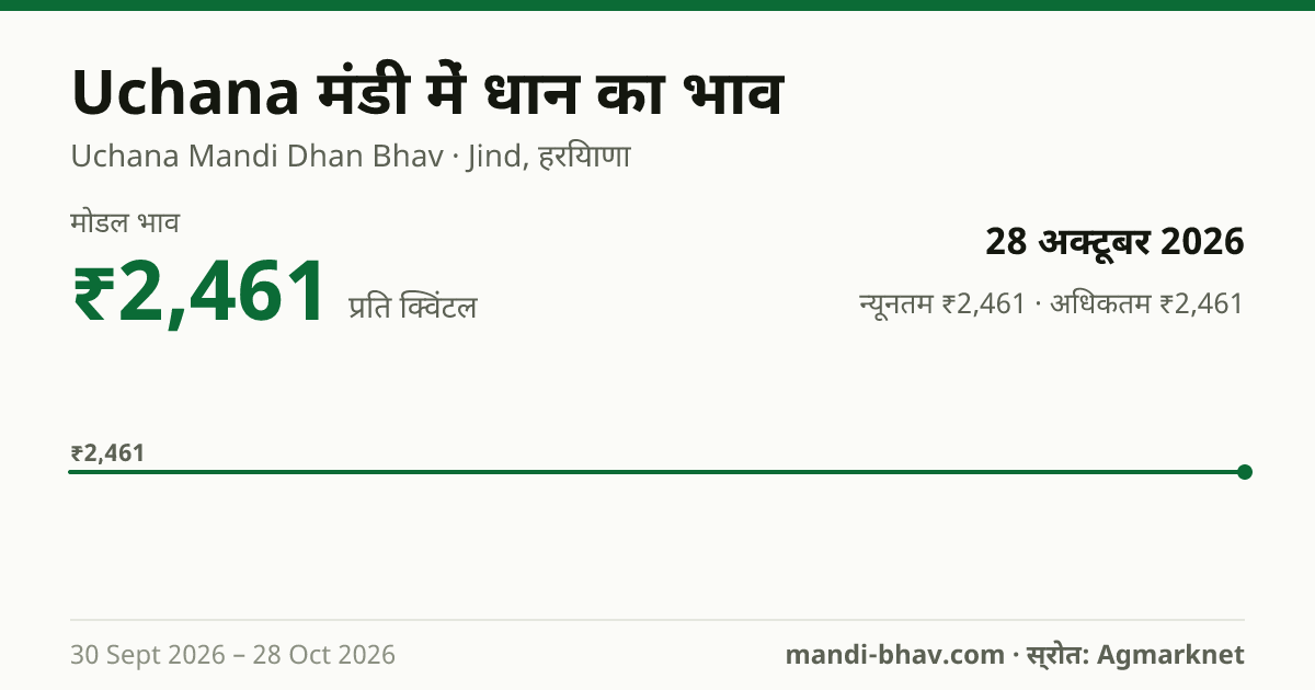 Uchana मंडी में धान का भाव 28 अक्टूबर 2026: मोडल ₹2,461 प्रति क्विंटल, भाव के रुझान का चार्ट