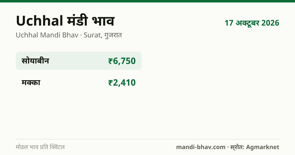 Uchhal मंडी भाव 17 अक्टूबर 2026: फसलवार मोडल रेट प्रति क्विंटल