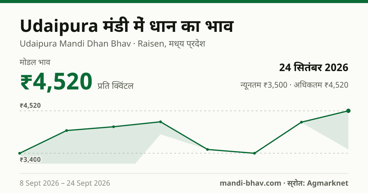 Udaipura मंडी में धान का भाव 24 सितंबर 2026: मोडल ₹4,520 प्रति क्विंटल, भाव के रुझान का चार्ट