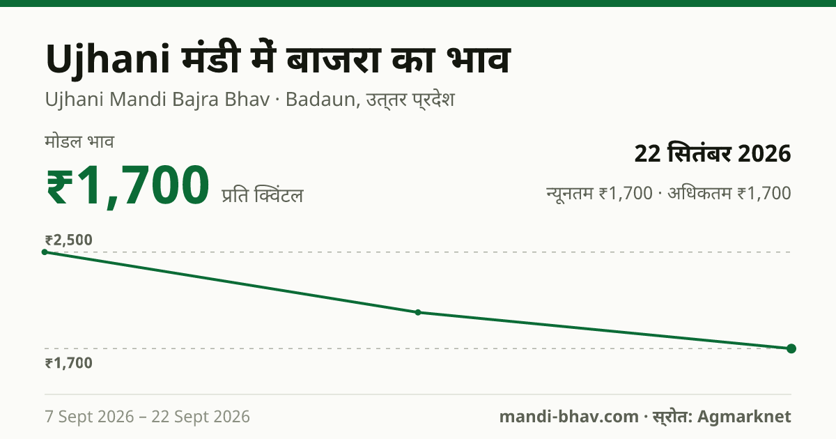 Ujhani मंडी में बाजरा का भाव 22 सितंबर 2026: मोडल ₹1,700 प्रति क्विंटल, भाव के रुझान का चार्ट