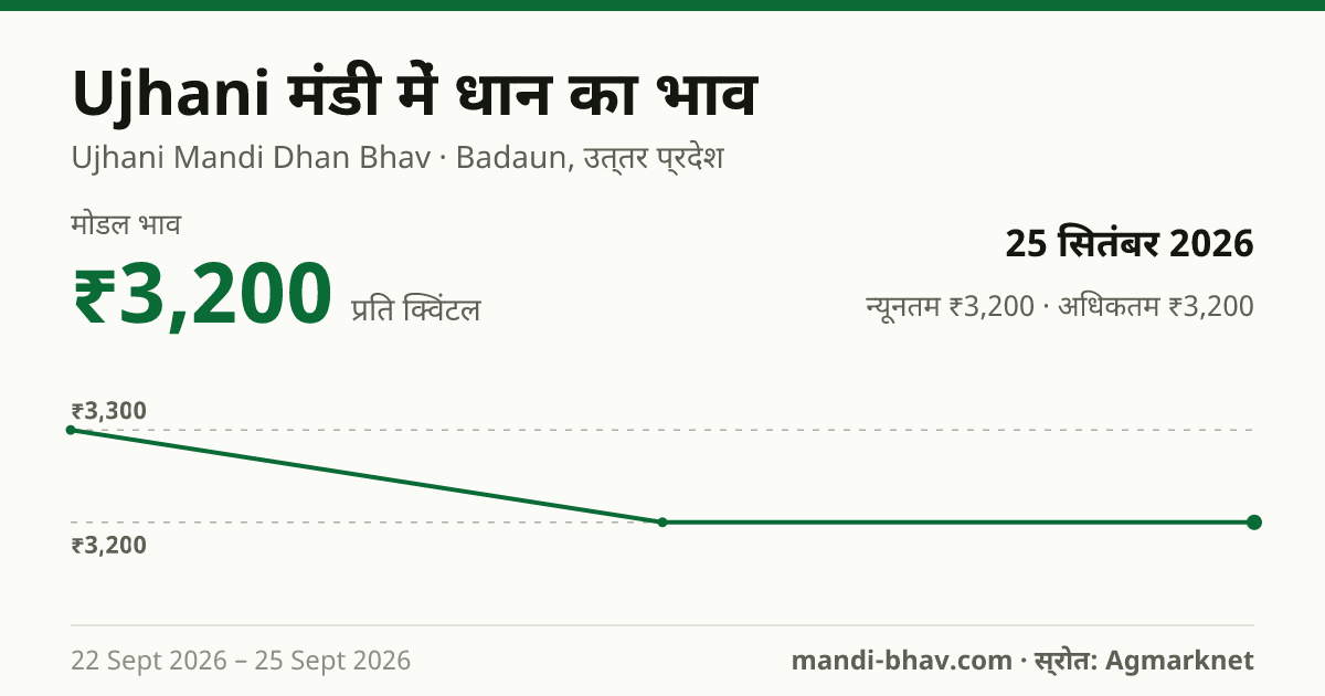Ujhani मंडी में धान का भाव 25 सितंबर 2026: मोडल ₹3,200 प्रति क्विंटल, भाव के रुझान का चार्ट