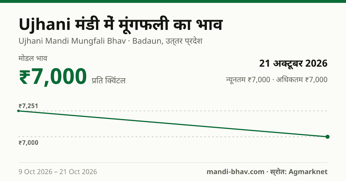 Ujhani मंडी में मूंगफली का भाव 21 अक्टूबर 2026: मोडल ₹7,000 प्रति क्विंटल, भाव के रुझान का चार्ट