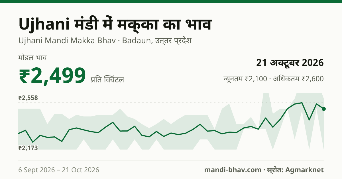 Ujhani मंडी में मक्का का भाव 21 अक्टूबर 2026: मोडल ₹2,499 प्रति क्विंटल, भाव के रुझान का चार्ट