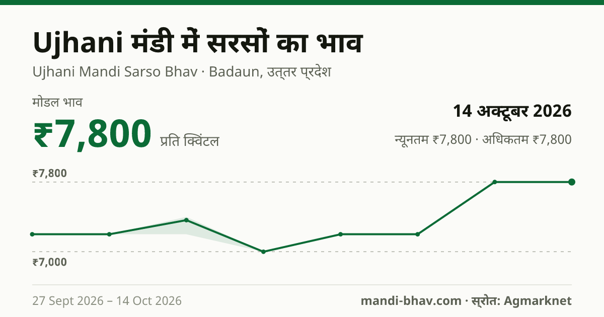 Ujhani मंडी में सरसों का भाव 14 अक्टूबर 2026: मोडल ₹7,800 प्रति क्विंटल, भाव के रुझान का चार्ट
