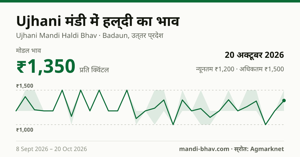 Ujhani मंडी में हल्दी का भाव 20 अक्टूबर 2026: मोडल ₹1,350 प्रति क्विंटल, भाव के रुझान का चार्ट