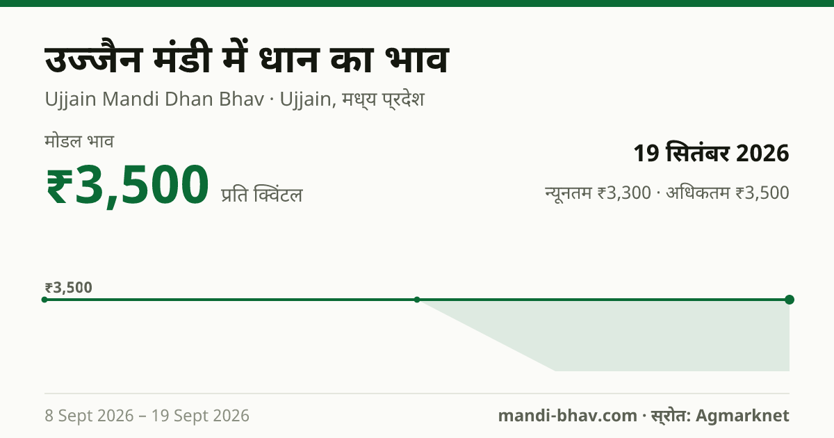 उज्जैन मंडी में धान का भाव 19 सितंबर 2026: मोडल ₹3,500 प्रति क्विंटल, भाव के रुझान का चार्ट