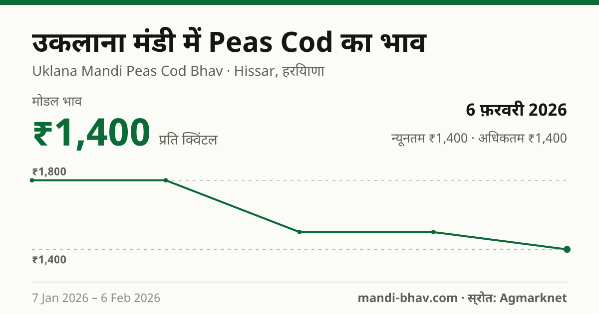 उकलाना मंडी में Peas Cod का भाव 6 फ़रवरी 2026: मोडल ₹1,400 प्रति क्विंटल, भाव के रुझान का चार्ट