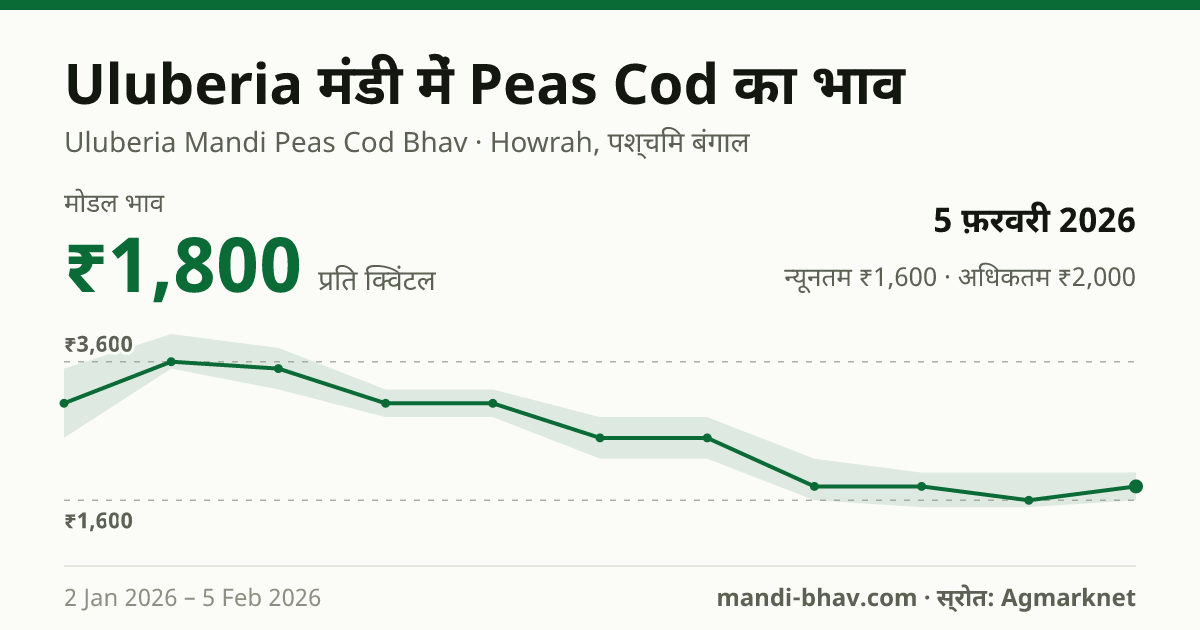 Uluberia मंडी में Peas Cod का भाव 5 फ़रवरी 2026: मोडल ₹1,800 प्रति क्विंटल, भाव के रुझान का चार्ट