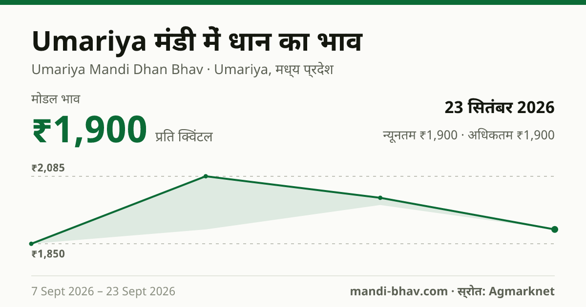 Umariya मंडी में धान का भाव 23 सितंबर 2026: मोडल ₹1,900 प्रति क्विंटल, भाव के रुझान का चार्ट