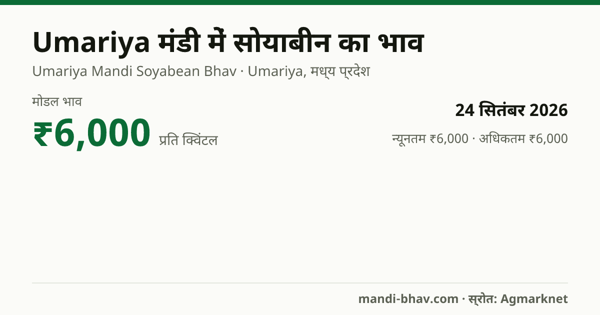 Umariya मंडी में सोयाबीन का भाव 24 सितंबर 2026: मोडल ₹6,000 प्रति क्विंटल, भाव के रुझान का चार्ट