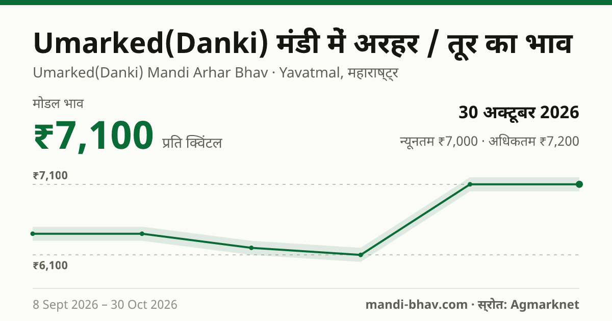 Umarked(Danki) मंडी में अरहर / तूर का भाव 30 अक्टूबर 2026: मोडल ₹7,100 प्रति क्विंटल, भाव के रुझान का चार्ट