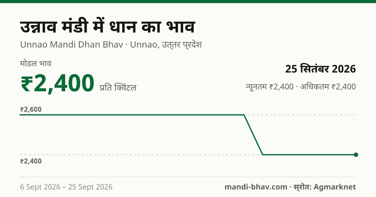 उन्नाव मंडी में धान का भाव 25 सितंबर 2026: मोडल ₹2,400 प्रति क्विंटल, भाव के रुझान का चार्ट