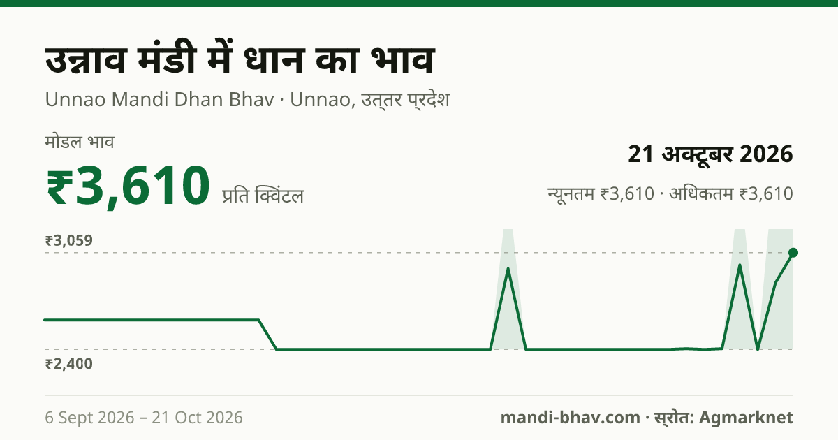 उन्नाव मंडी में धान का भाव 21 अक्टूबर 2026: मोडल ₹3,610 प्रति क्विंटल, भाव के रुझान का चार्ट
