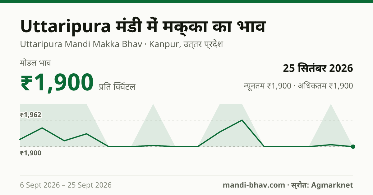 Uttaripura मंडी में मक्का का भाव 25 सितंबर 2026: मोडल ₹1,900 प्रति क्विंटल, भाव के रुझान का चार्ट