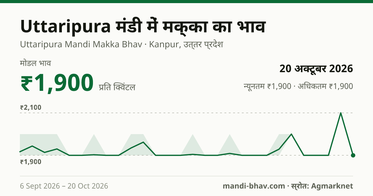 Uttaripura मंडी में मक्का का भाव 20 अक्टूबर 2026: मोडल ₹1,900 प्रति क्विंटल, भाव के रुझान का चार्ट