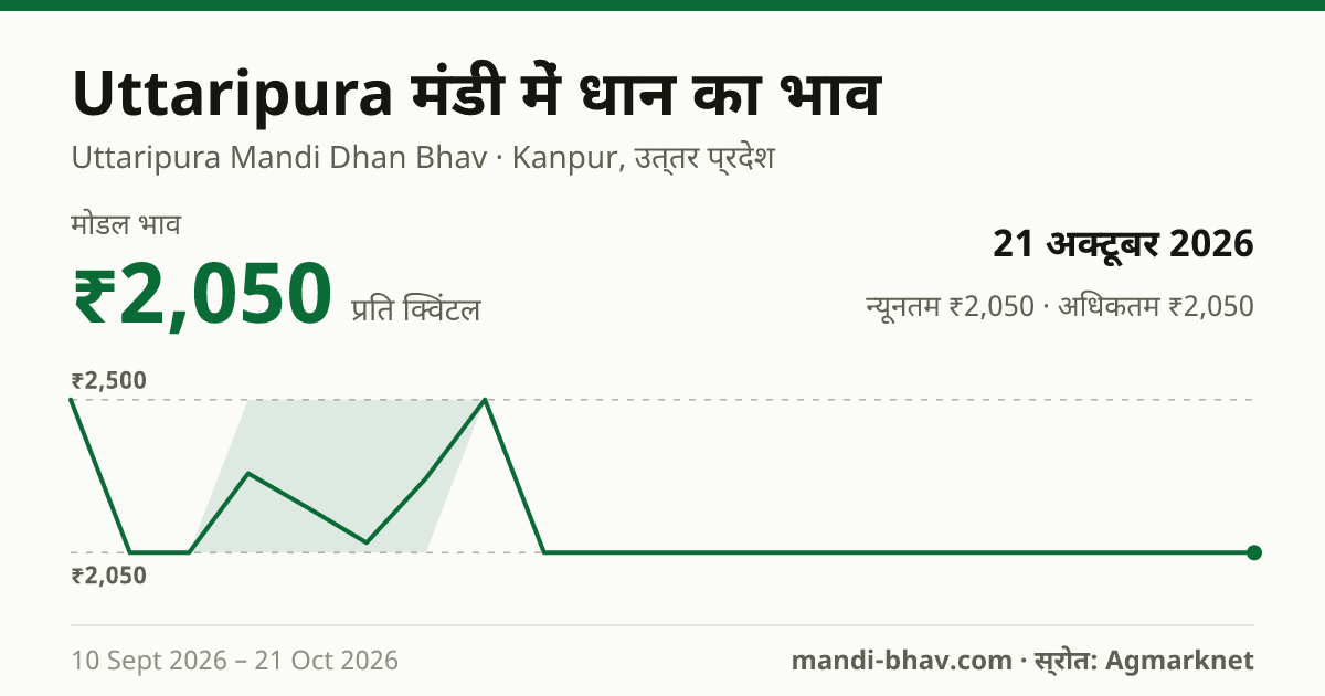 Uttaripura मंडी में धान का भाव 21 अक्टूबर 2026: मोडल ₹2,050 प्रति क्विंटल, भाव के रुझान का चार्ट