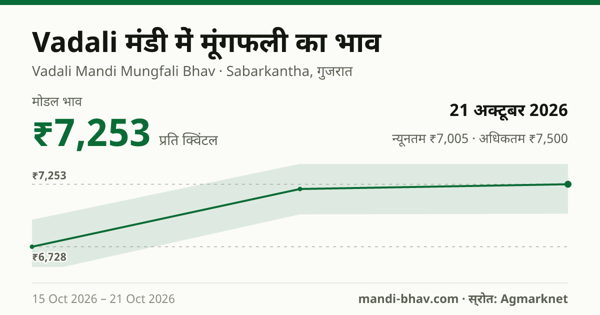 Vadali मंडी में मूंगफली का भाव 21 अक्टूबर 2026: मोडल ₹7,253 प्रति क्विंटल, भाव के रुझान का चार्ट