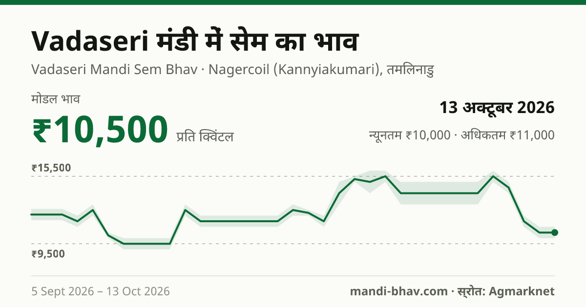 Vadaseri मंडी में सेम का भाव 13 अक्टूबर 2026: मोडल ₹10,500 प्रति क्विंटल, भाव के रुझान का चार्ट