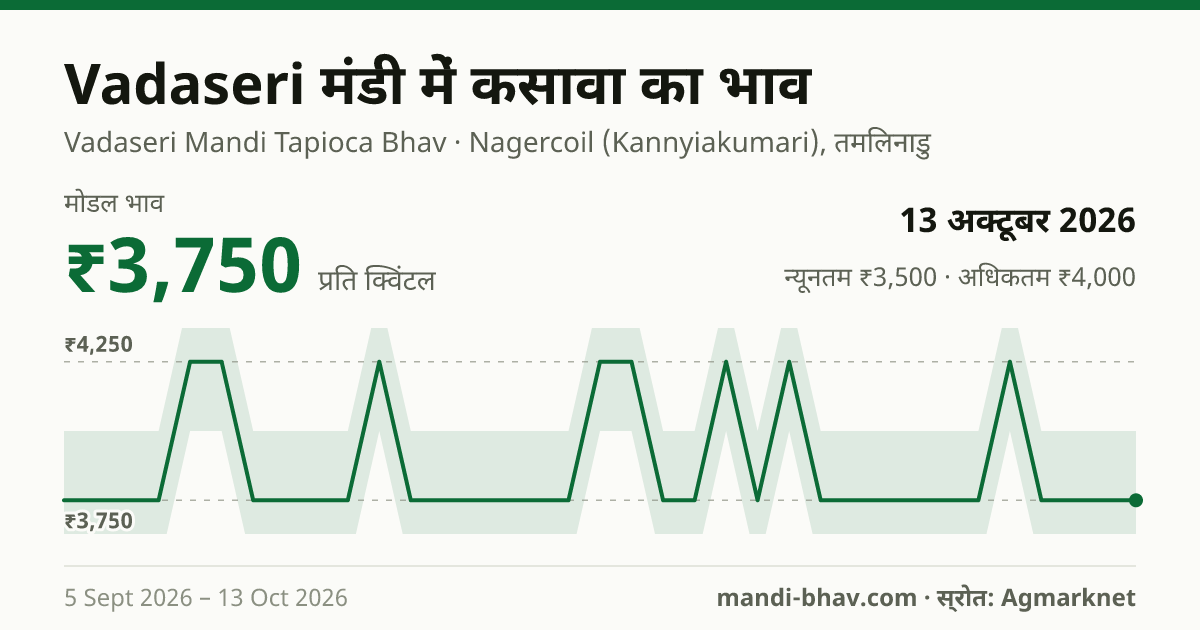 Vadaseri मंडी में कसावा का भाव 13 अक्टूबर 2026: मोडल ₹3,750 प्रति क्विंटल, भाव के रुझान का चार्ट