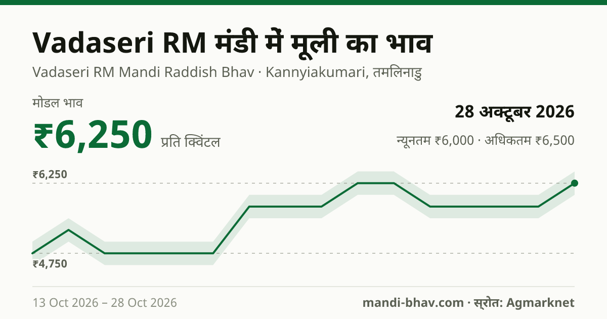 Vadaseri RM मंडी में मूली का भाव 28 अक्टूबर 2026: मोडल ₹6,250 प्रति क्विंटल, भाव के रुझान का चार्ट