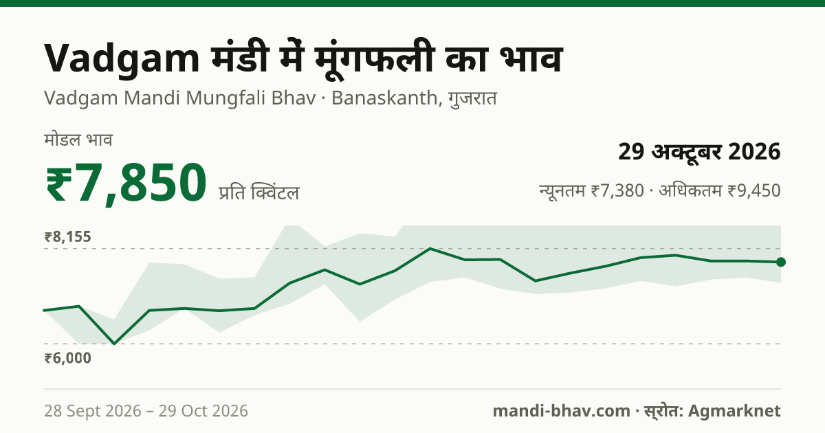 Vadgam मंडी में मूंगफली का भाव 29 अक्टूबर 2026: मोडल ₹7,850 प्रति क्विंटल, भाव के रुझान का चार्ट