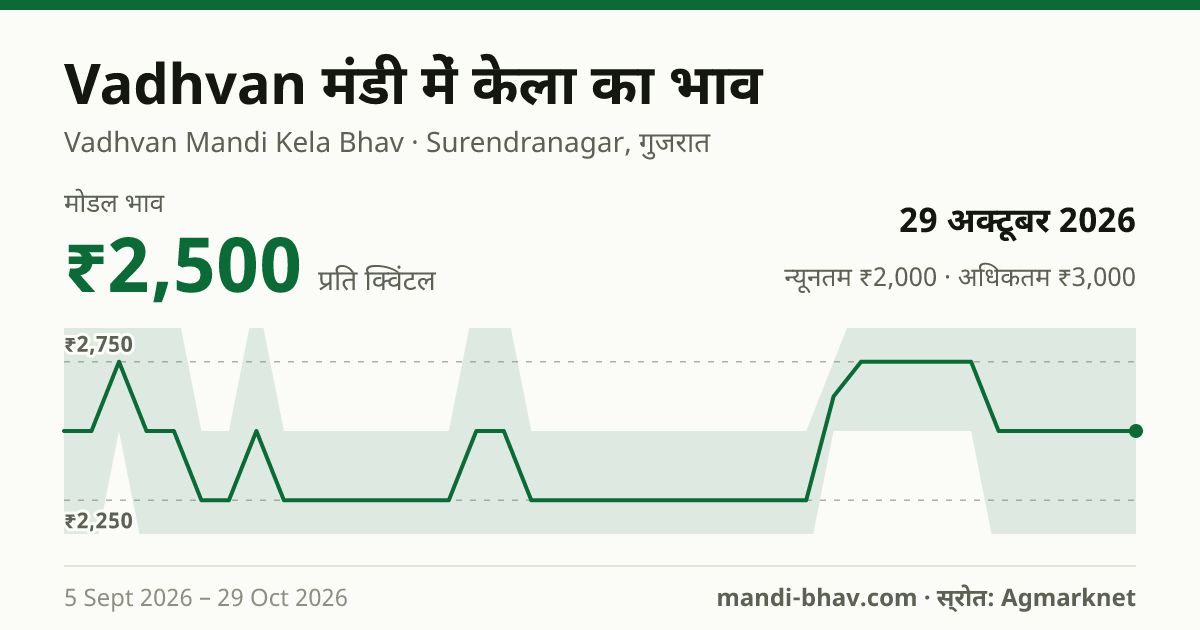 Vadhvan मंडी में केला का भाव 29 अक्टूबर 2026: मोडल ₹2,500 प्रति क्विंटल, भाव के रुझान का चार्ट